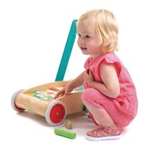 Dřevěné kostky - Dřevěné chodítko s kostkami Baby Block Walker Tender Leaf Toys vozík s malovanými obrázky 29 kostek od 18 měsíců_2