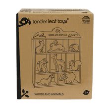 Drevené didaktické hračky -  NA PREKLAD - Animales de bosque de Tender Leaf Toys en la estantería Conejo, liebre, erizo, zorro, ciervo, ardilla, búho, lobo, 3 unidades cada uno._3