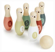 Bowling - Popice din lemn cu minge Birdie Skittles Tender Leaf Toys 6 tipuri în geantă textilă_1