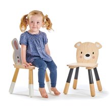 Mobilier din lemn pentru copii - Mobilier din lemn pentru copii Forest table and Chairs Tender Leaf Toys masă cu spațiu de depozitare și cu două scăunele ursuleț și iepuraș_1