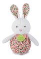 4053 a doudou plysak
