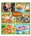 600 2 safari
