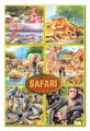 603 4 safari1