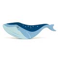 TL4787 a tender leaf whale