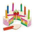 TL8282 a tender leaf rainbow birthday cake