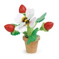 TL8356 a tender leaf strawberry flower pot