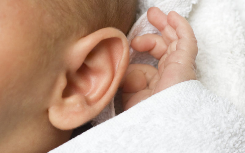 Urechea bebeluşilor detaliu