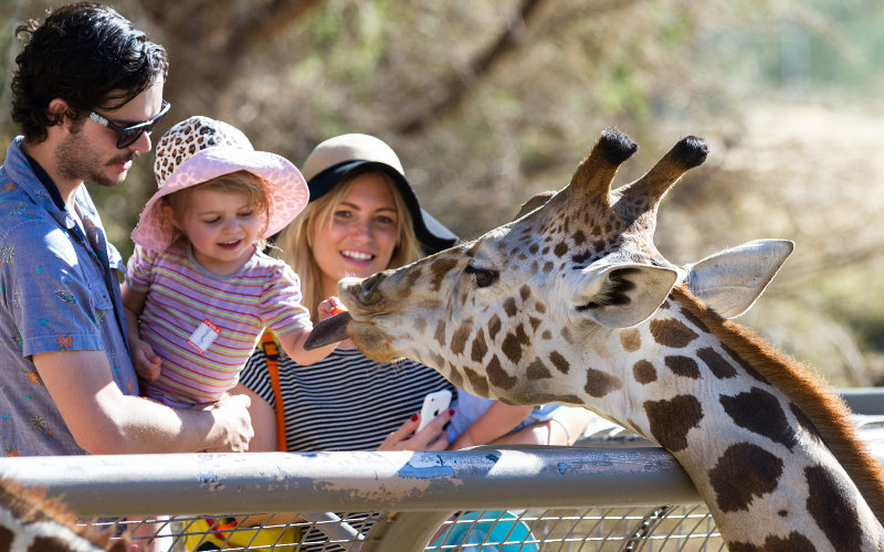 Családi kirándulás Zoo