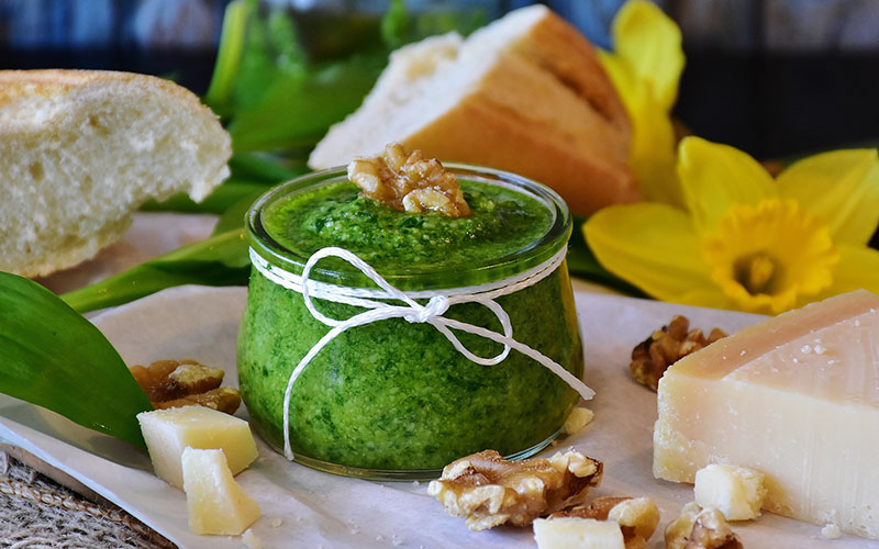 Czosnek niedzwiedzi pesto