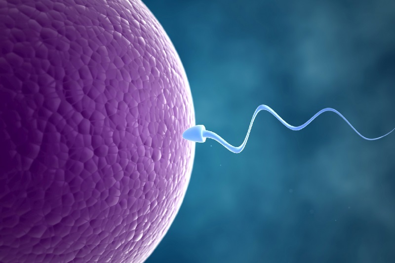 Nosečnost spermiji