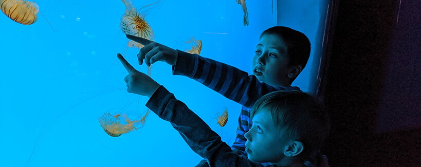 Non siete per caso genitori di meduse? Questa tendenza educativa è tornata!